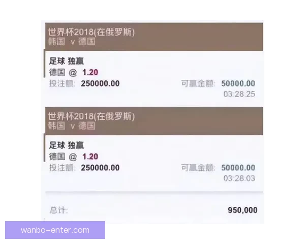 全球视角深度解析世界杯买球平台玩法策略安全指南与未来趋势